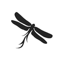 Silhouette dragonfly