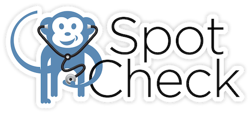 Website Spot Check logo