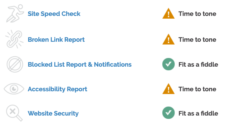 Checklist from CodeGeek's Website Spot Check report