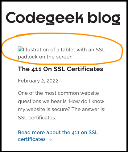 Screenshot of the CodeGeek blog page showing a preview of a post with images turned off