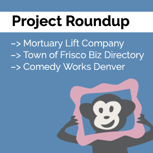 CodeGeek's mascot monkey Randall holding a picture frame around his face with the featured text "Project Roundup"