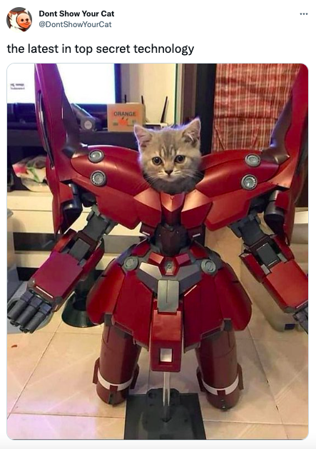 Tweet by @DontShowYourCat that shows a patient gray kitten in a red Iron Man suit. The text reads: "the latest in top secret technology"