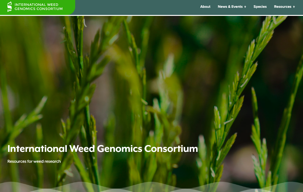 Screenshot of International Weed Genomics Consortium homepage. The header image is a closeup of green weeds.