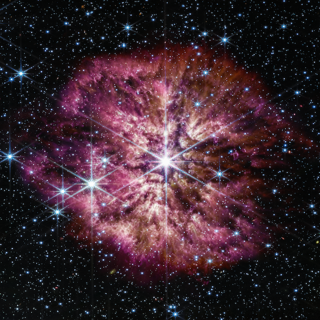 Early phase of a supernova, radiating in pinks and blues