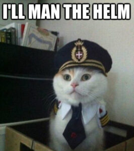 A white and orange kitty is sitting in a box and wearing a ship captain's uniform and cap. The text reads: I'll man the helm.