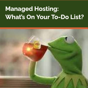 Kermit the Frog leisurely drinking tea. Text reads: Managed Hosting: What's on your to-do list?