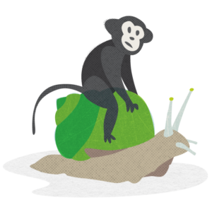 CodeGeek's mascot monkey Randall is sitting on top of a snail and moving very, very slowly.