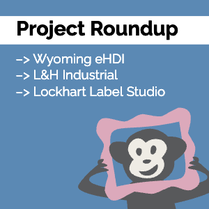 Our monkey mascot Randall looking through a pink picture frame. Text reads: Project Roundup