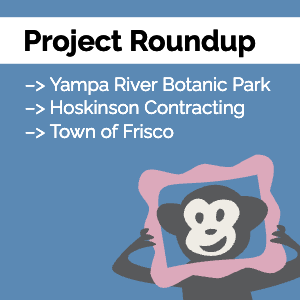 Our monkey mascot Randall looking through a pink picture frame. Text reads: Project Roundup