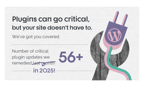 CodeGeek made over 56 critical plugin updates in 2025!